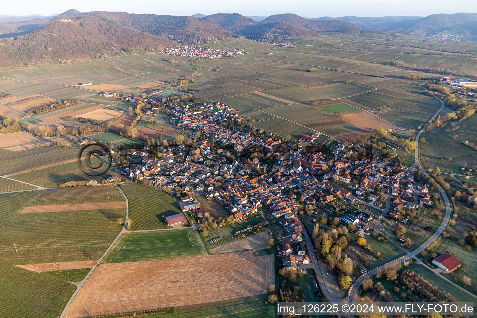 Vue aérienne de Les zones agricoles et les limites des champs au printemps entourent la zone de peuplement du village à Göcklingen dans le département Rhénanie-Palatinat, Allemagne