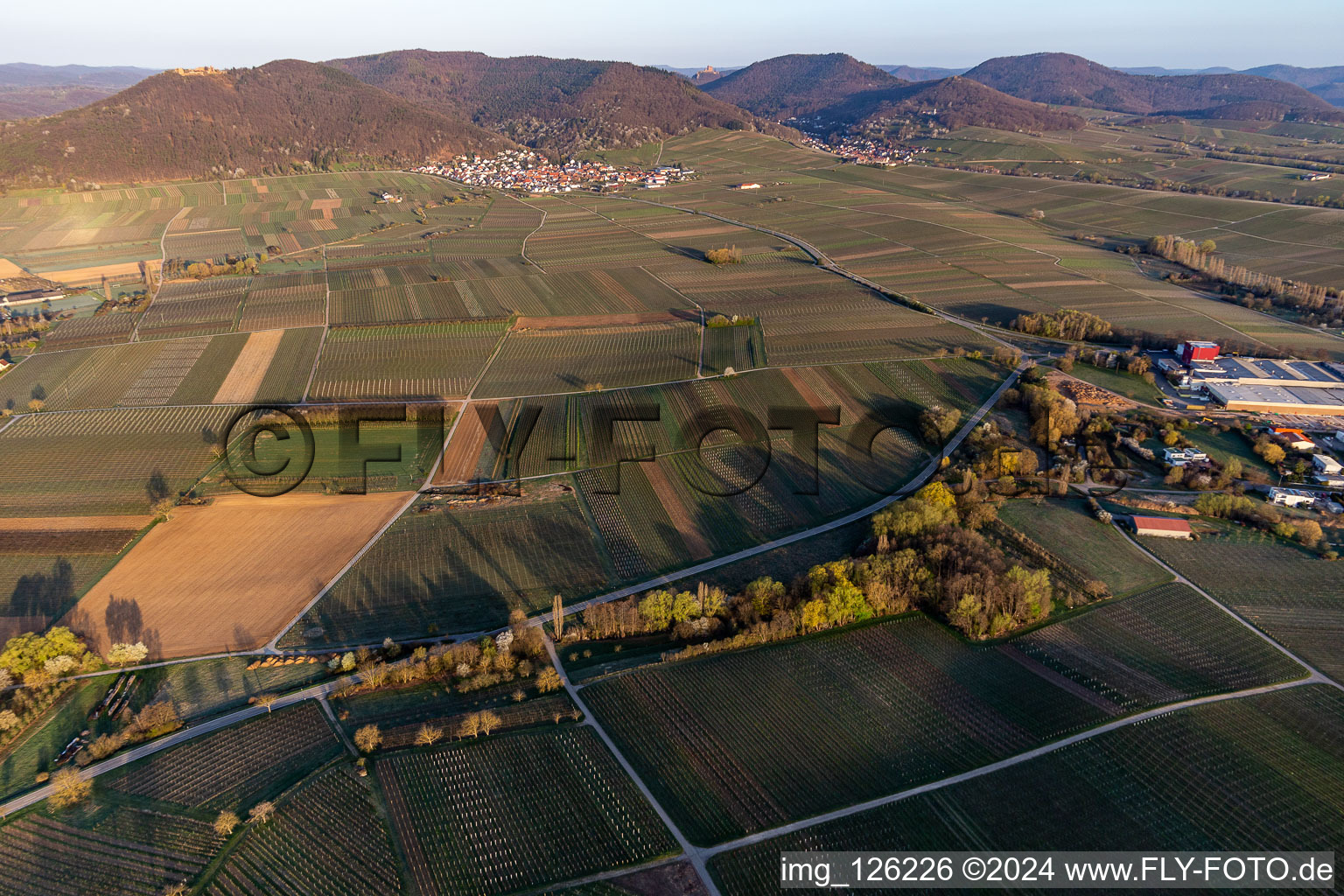 Vue aérienne de Vallée d'Aalmühl avant Eschbach sur le Haardtrand à Göcklingen dans le département Rhénanie-Palatinat, Allemagne