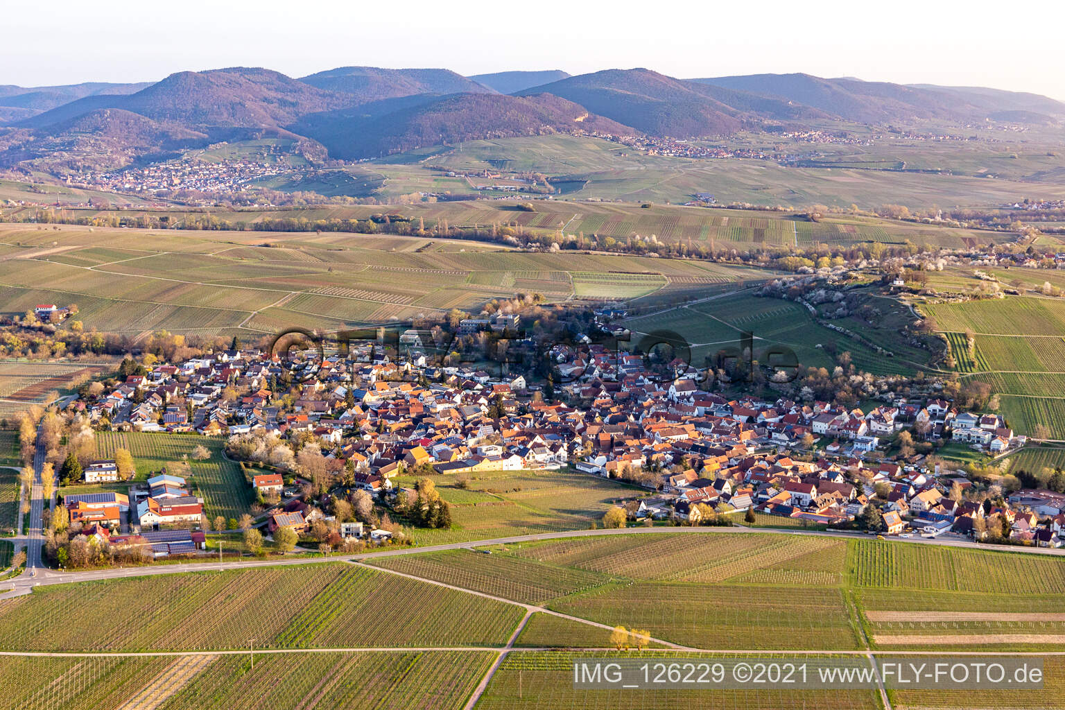 Vue aérienne de Sur le petit Kalmit à Ilbesheim bei Landau in der Pfalz dans le département Rhénanie-Palatinat, Allemagne