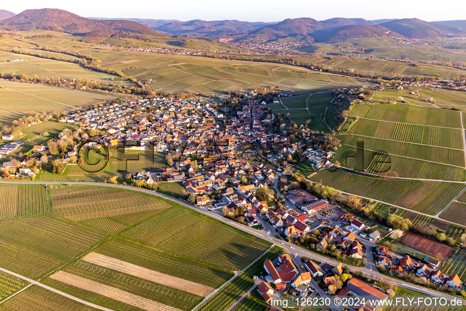 Vue aérienne de Des zones agricoles et des vignobles entourent la zone d'habitation du village au pied du petit Kalmit au printemps à le quartier Ilbesheim in Ilbesheim bei Landau in der Pfalz dans le département Rhénanie-Palatinat, Allemagne