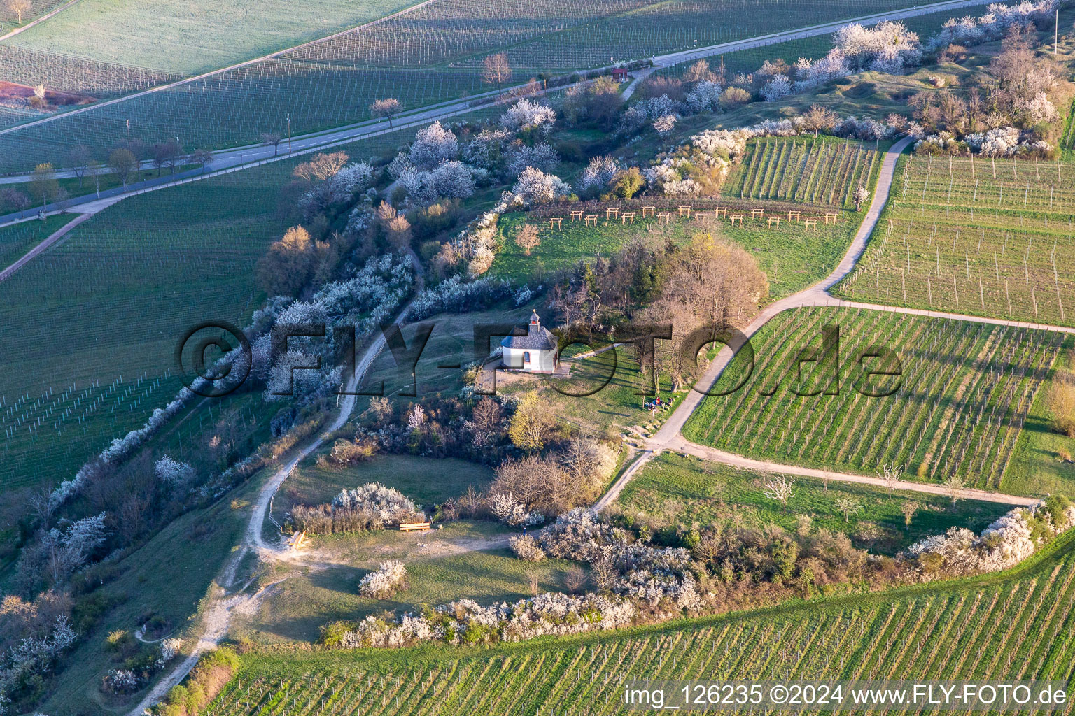 Photographie aérienne de Chapelle "Kleine Kalmit" dans la réserve naturelle de Kleine Kalmit le matin de Pâques avec fleurs printanières à le quartier Ilbesheim in Ilbesheim bei Landau in der Pfalz dans le département Rhénanie-Palatinat, Allemagne