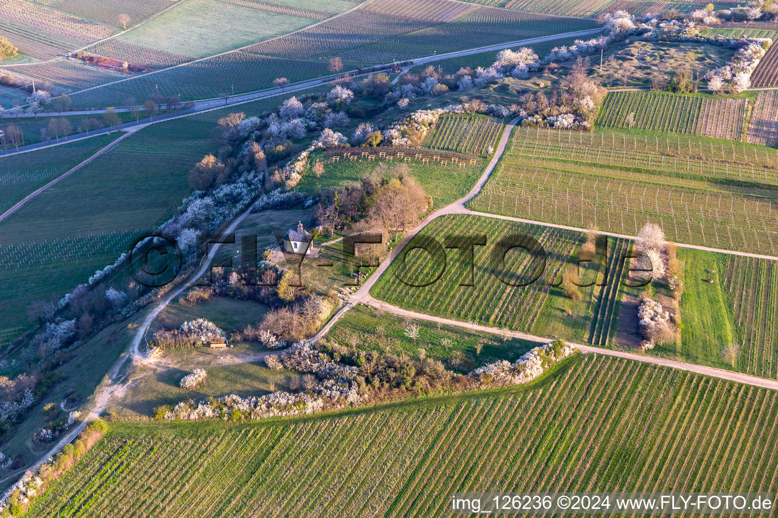 Vue aérienne de Chapelle dans la réserve naturelle de Kleine Kalmit à le quartier Ilbesheim in Ilbesheim bei Landau in der Pfalz dans le département Rhénanie-Palatinat, Allemagne