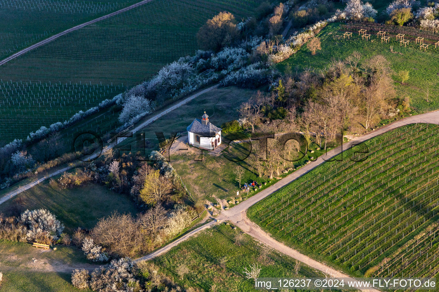 Vue aérienne de Chapelle dans la réserve naturelle de Kleine Kalmit à le quartier Ilbesheim in Ilbesheim bei Landau in der Pfalz dans le département Rhénanie-Palatinat, Allemagne