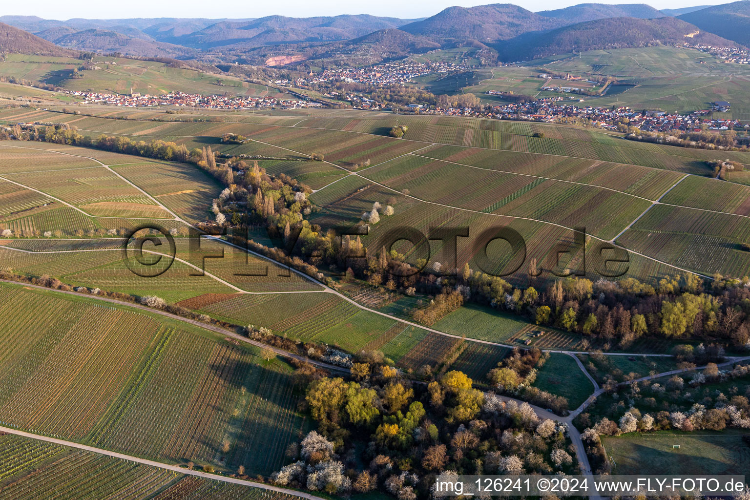 Vue aérienne de Vallée de Ranschbachtal à Ranschbach dans le département Rhénanie-Palatinat, Allemagne