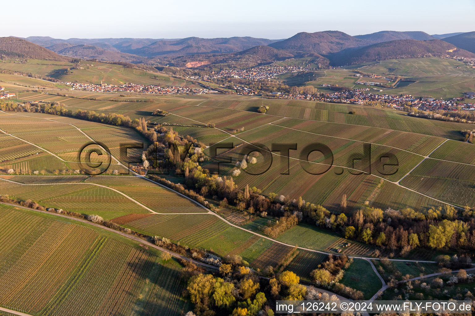 Vue aérienne de Vallée de Ranschbachtal à Ranschbach dans le département Rhénanie-Palatinat, Allemagne