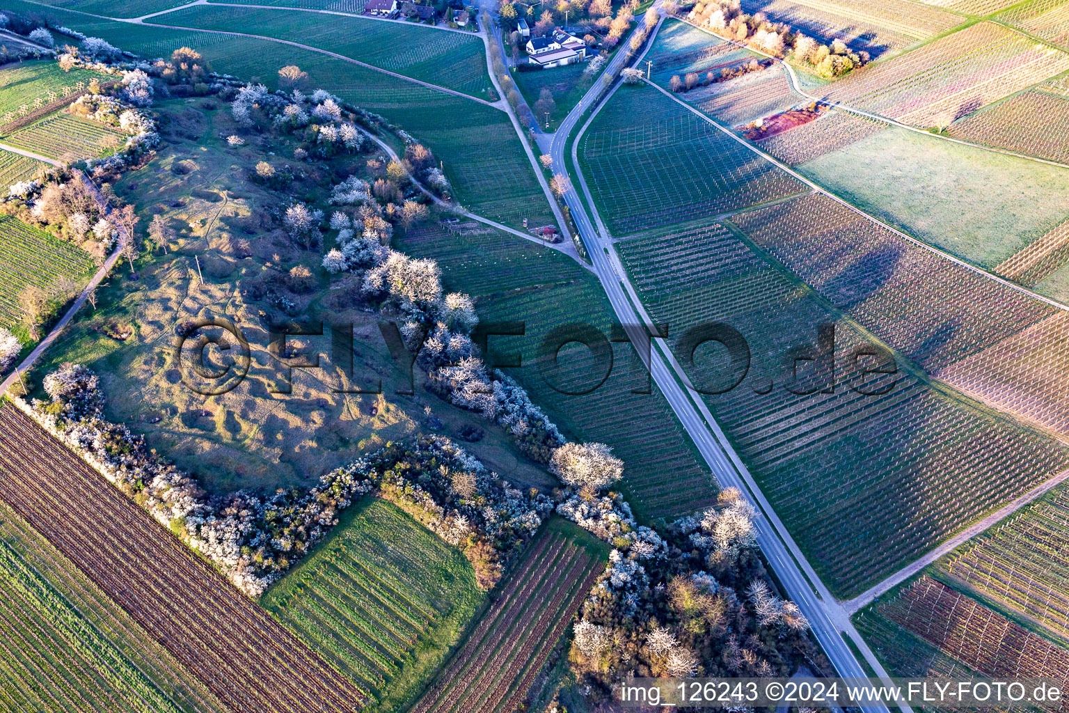 Vue aérienne de Réserve naturelle de Kleine Kalmit le matin de Pâques avec des fleurs printanières à le quartier Arzheim in Landau in der Pfalz dans le département Rhénanie-Palatinat, Allemagne