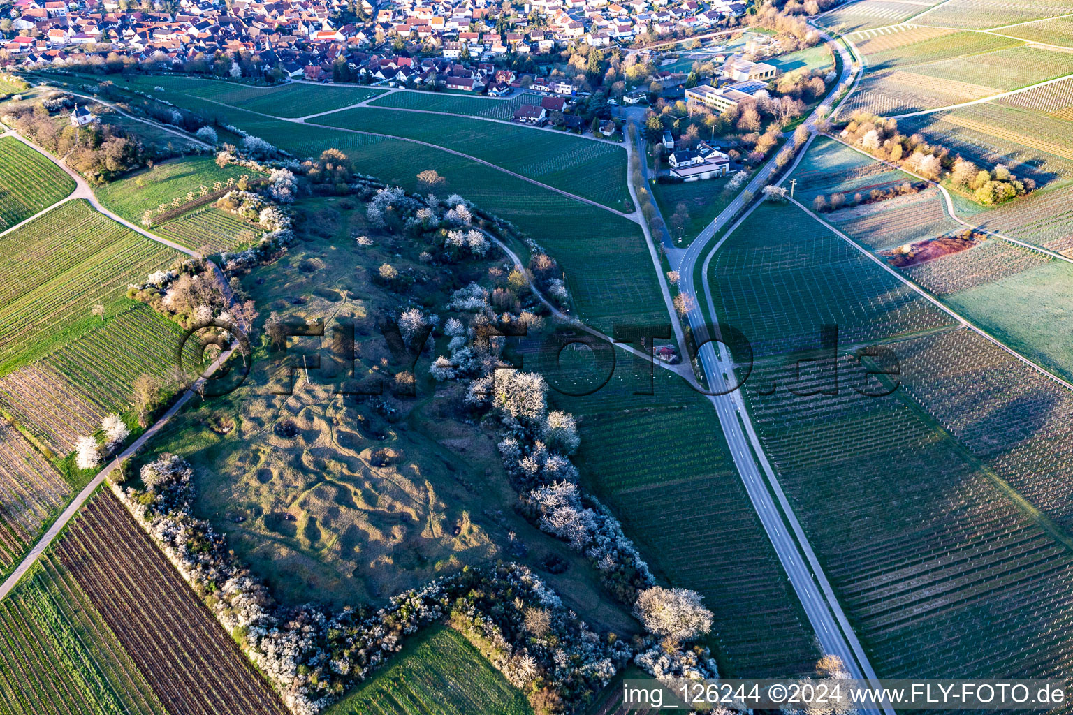 Vue aérienne de Réserve naturelle de Kleine Kalmit le matin de Pâques avec des fleurs printanières à le quartier Arzheim in Landau in der Pfalz dans le département Rhénanie-Palatinat, Allemagne