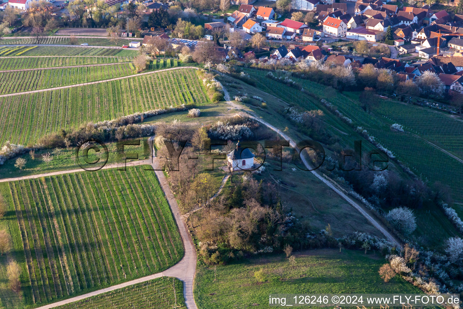 Photographie aérienne de Chapelle dans la réserve naturelle de Kleine Kalmit à le quartier Ilbesheim in Ilbesheim bei Landau in der Pfalz dans le département Rhénanie-Palatinat, Allemagne