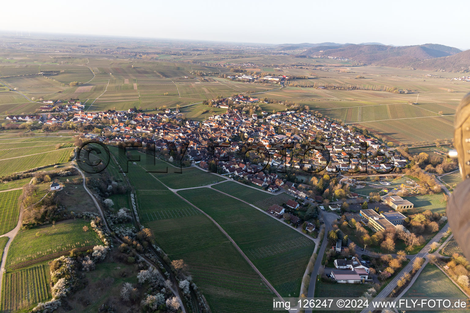 Chapelle "Kleine Kalmit" dans la réserve naturelle de Kleine Kalmit le matin de Pâques avec fleurs printanières à Ilbesheim bei Landau in der Pfalz dans le département Rhénanie-Palatinat, Allemagne vue d'en haut