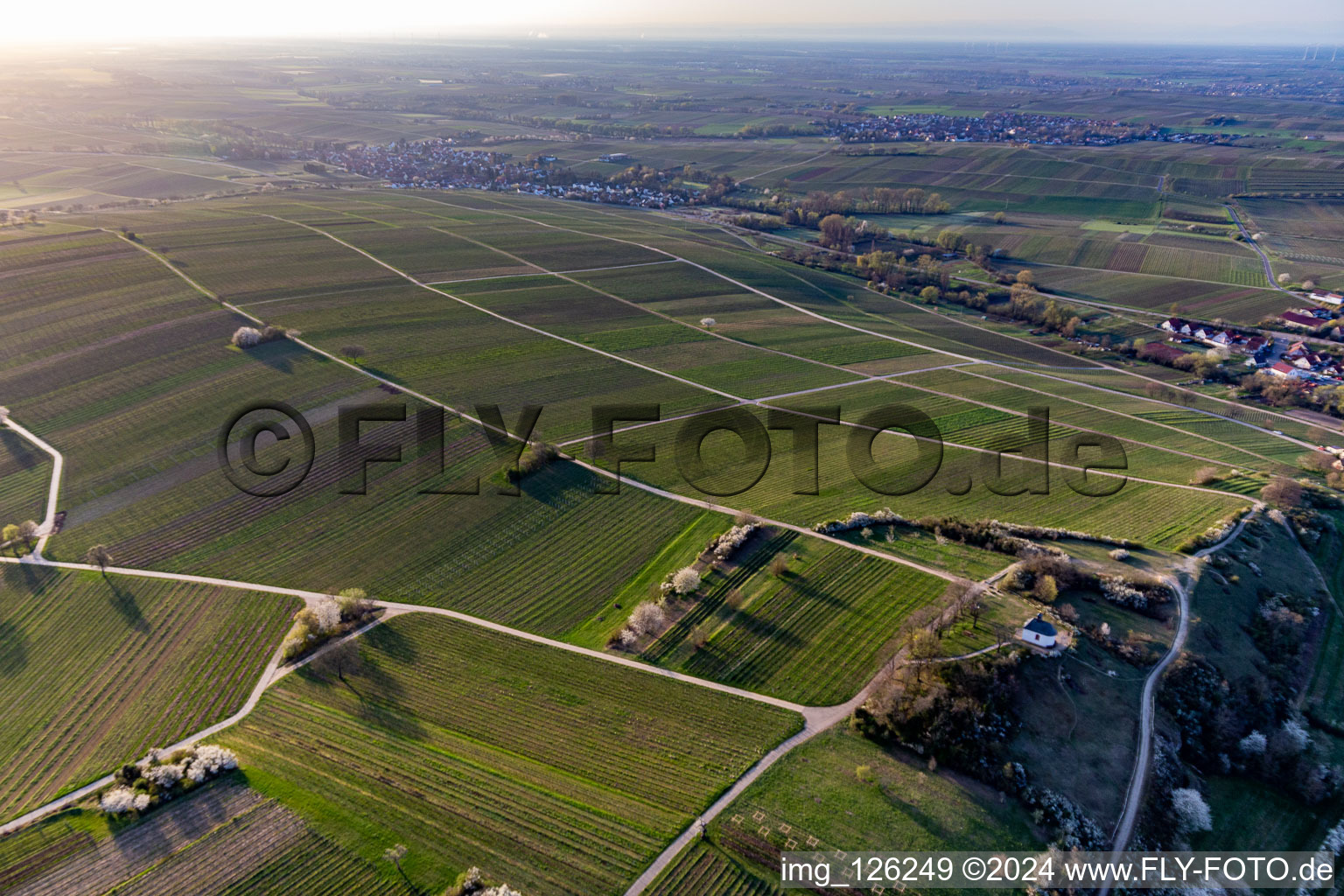 Photographie aérienne de Chapelle "Kleine Kalmit" dans la réserve naturelle de Kleine Kalmit le matin de Pâques avec fleurs printanières à Ilbesheim bei Landau in der Pfalz dans le département Rhénanie-Palatinat, Allemagne