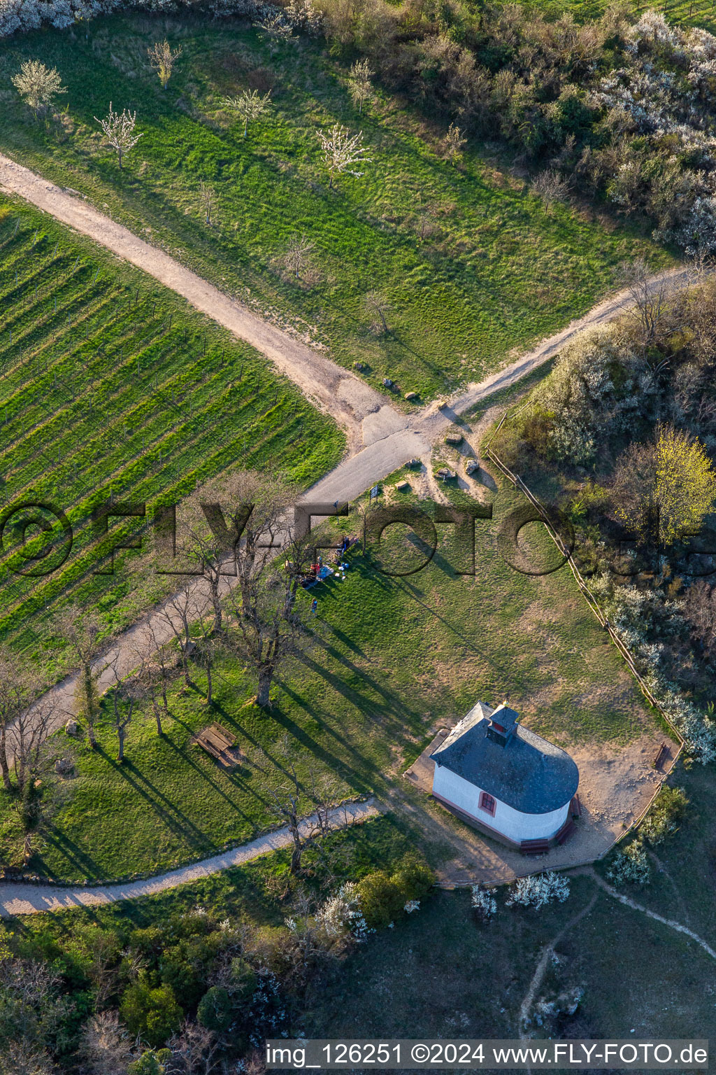 Vue oblique de Chapelle "Kleine Kalmit" dans la réserve naturelle de Kleine Kalmit le matin de Pâques avec fleurs printanières à Ilbesheim bei Landau in der Pfalz dans le département Rhénanie-Palatinat, Allemagne