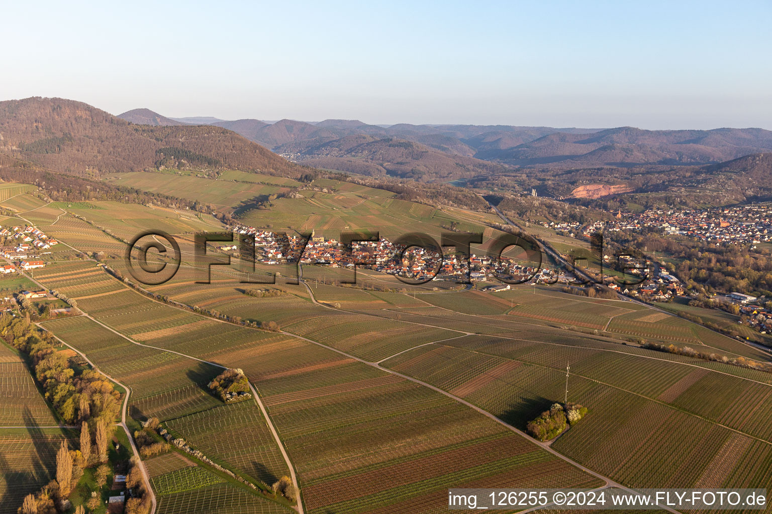 Vue aérienne de Birkweiler dans le département Rhénanie-Palatinat, Allemagne