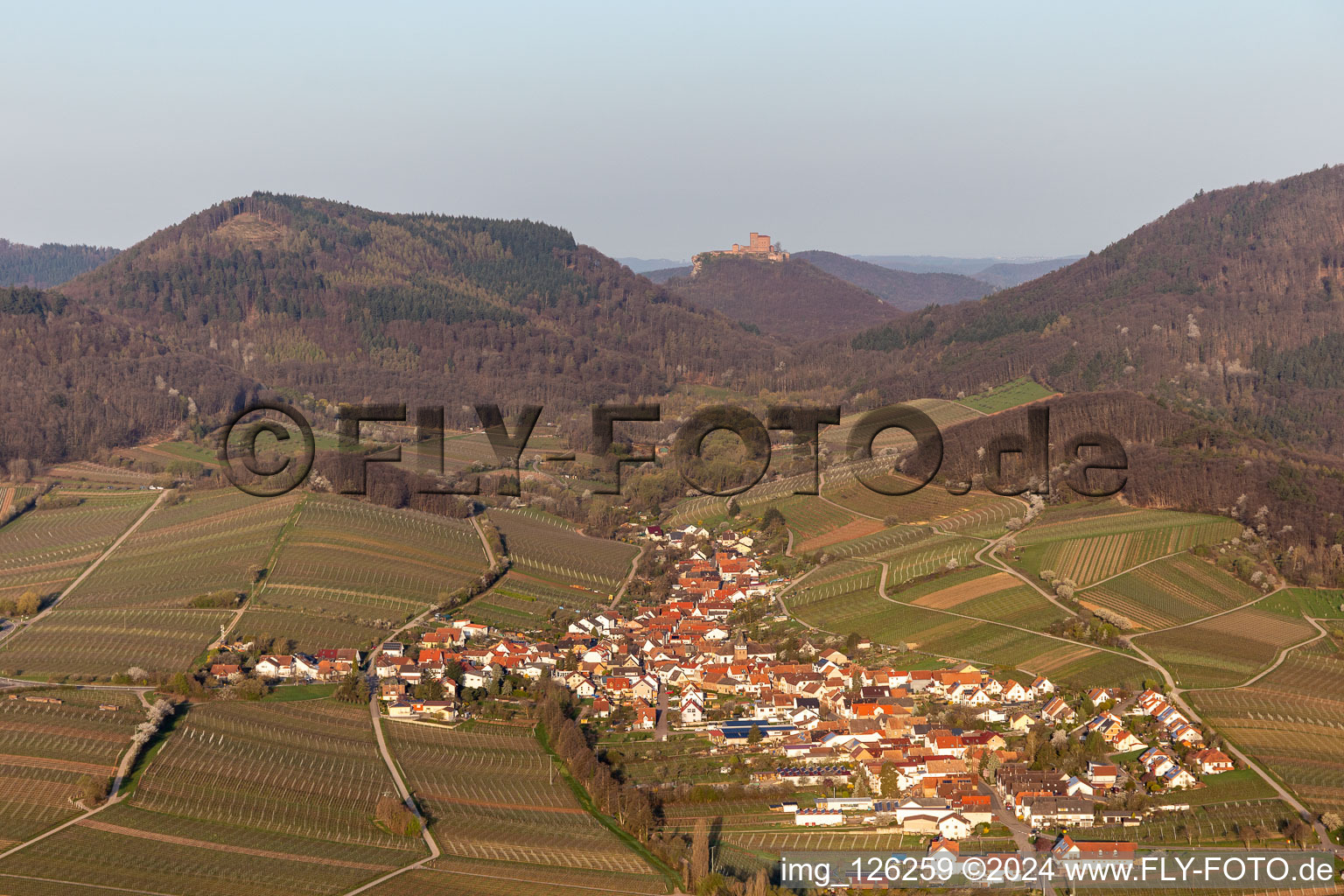 Vue aérienne de Vignobles au printemps devant les Trifels à Birkweiler à Ranschbach dans le département Rhénanie-Palatinat, Allemagne