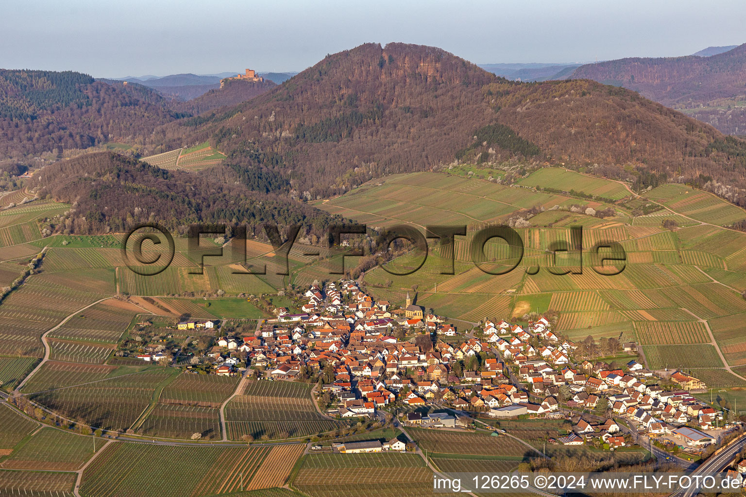 Vue aérienne de Vignobles au printemps devant les Trifels à Birkweiler dans le département Rhénanie-Palatinat, Allemagne