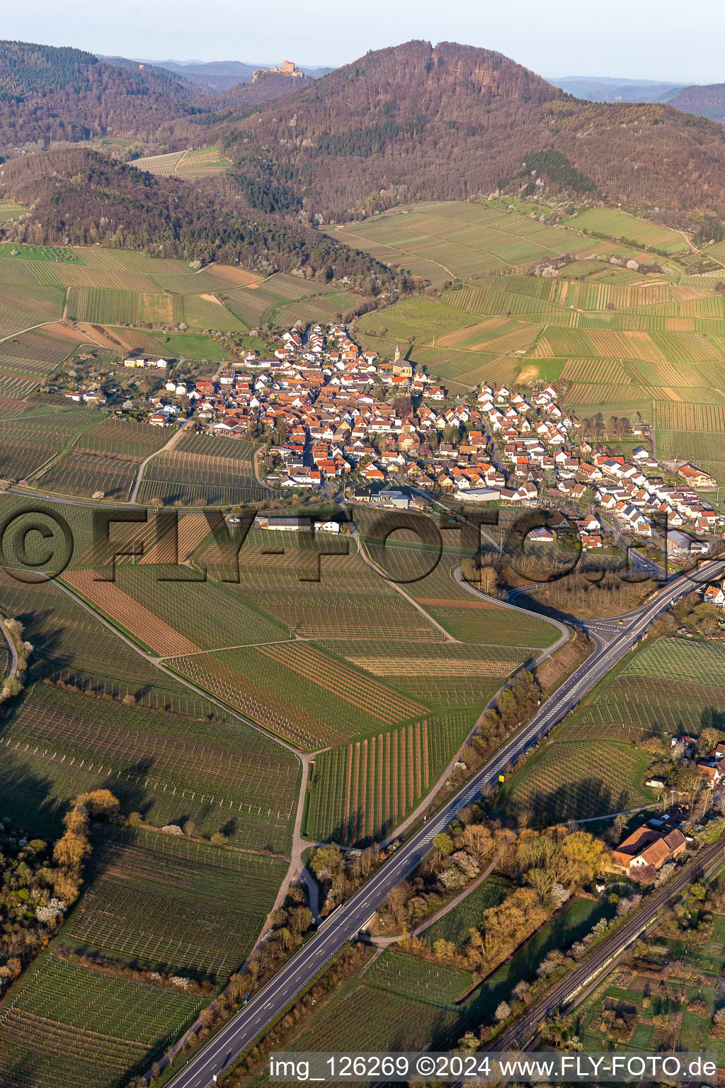 Vue aérienne de Keschdebusch (châtaignier) devant le Trifels à Birkweiler dans le département Rhénanie-Palatinat, Allemagne