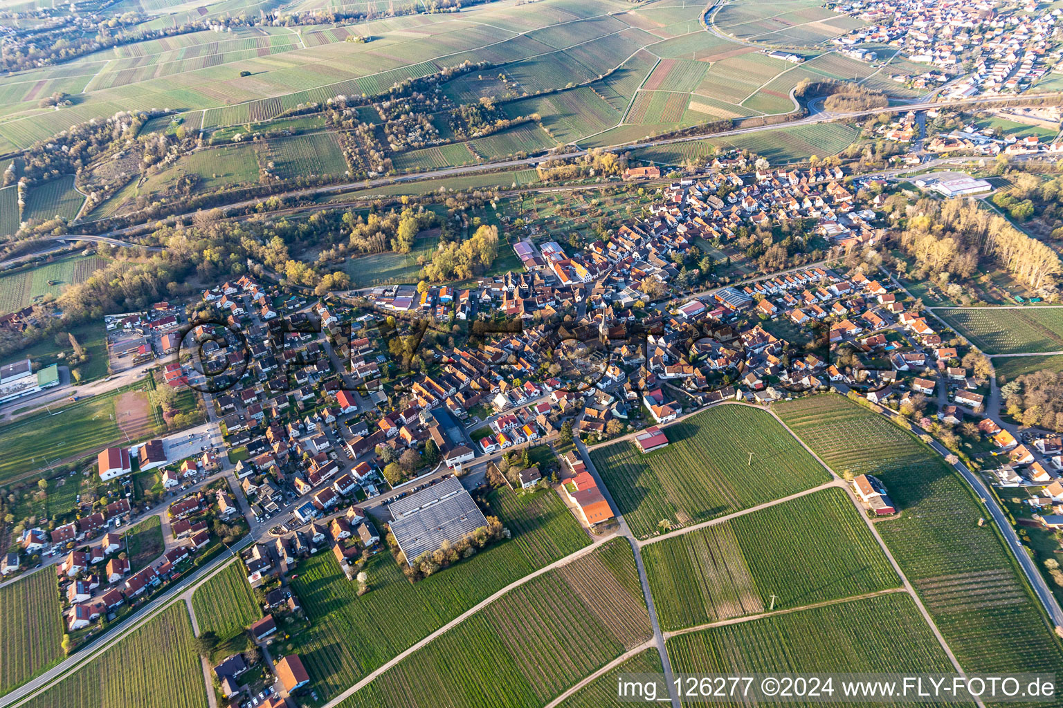 Photographie aérienne de Complexe immobilier de l'Institut Julius Kühn Rebforschungsanstalt Geilweilerhof avec des amandiers en fleurs à Siebeldingen dans le département Rhénanie-Palatinat, Allemagne