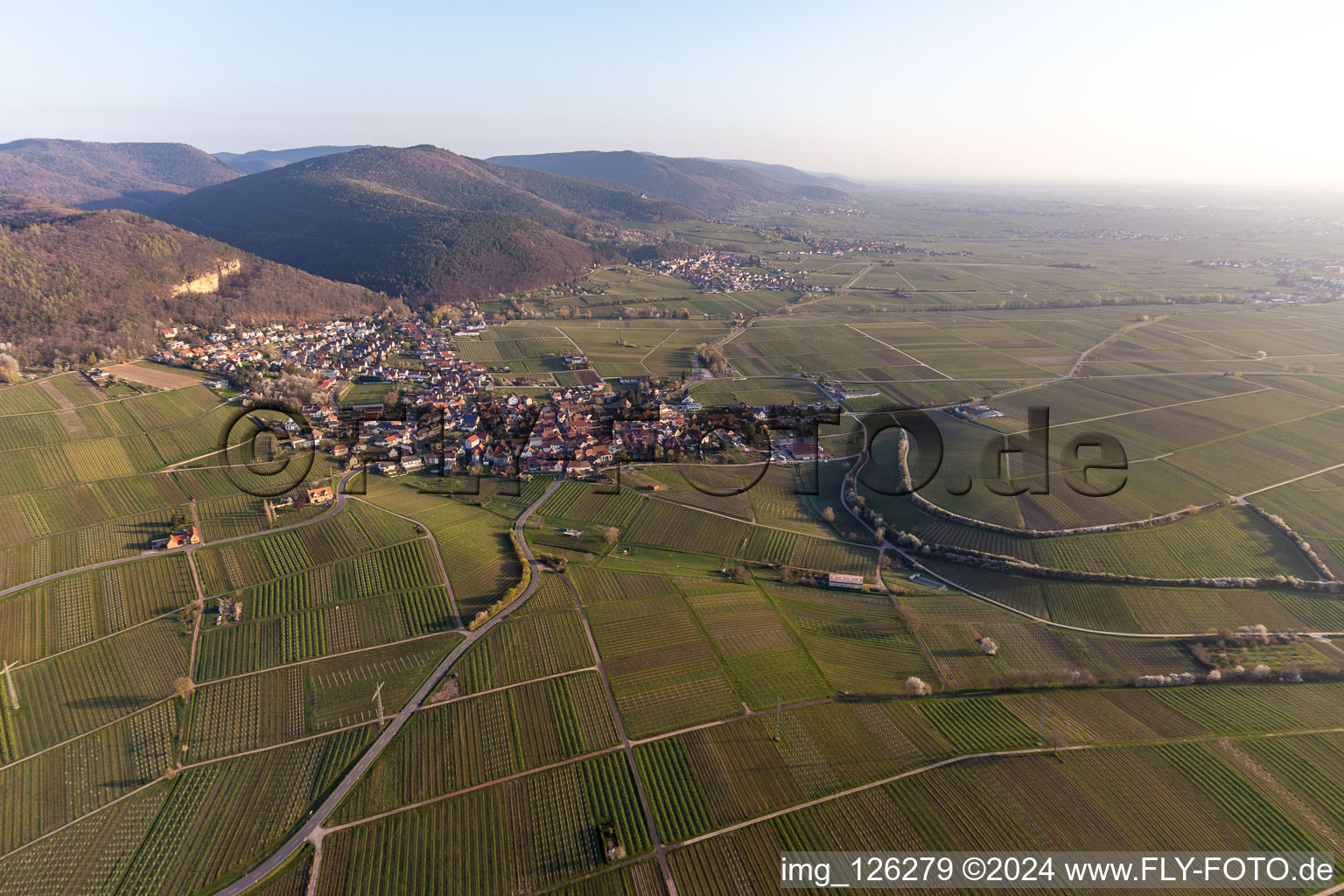 Frankweiler dans le département Rhénanie-Palatinat, Allemagne du point de vue du drone