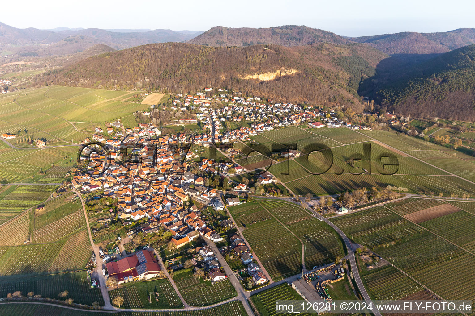 Vue aérienne de Vue sur le village à Frankweiler dans le département Rhénanie-Palatinat, Allemagne