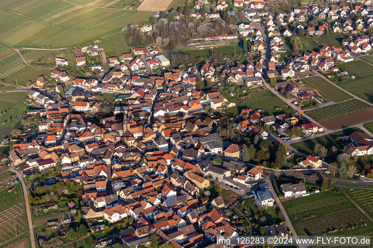 Vue aérienne de Vue sur le village à Frankweiler dans le département Rhénanie-Palatinat, Allemagne