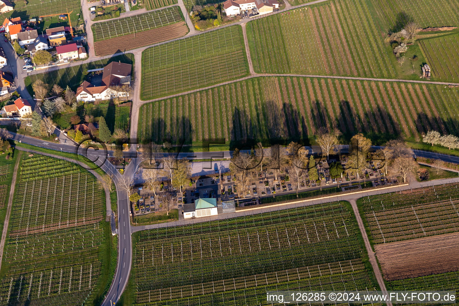 Vue aérienne de Cimetière à Frankweiler dans le département Rhénanie-Palatinat, Allemagne