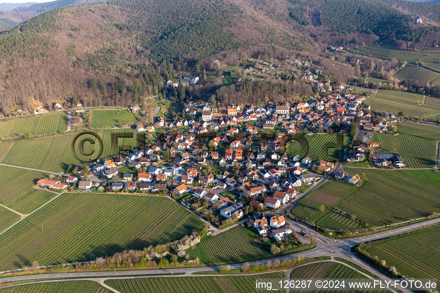 Gleisweiler dans le département Rhénanie-Palatinat, Allemagne du point de vue du drone