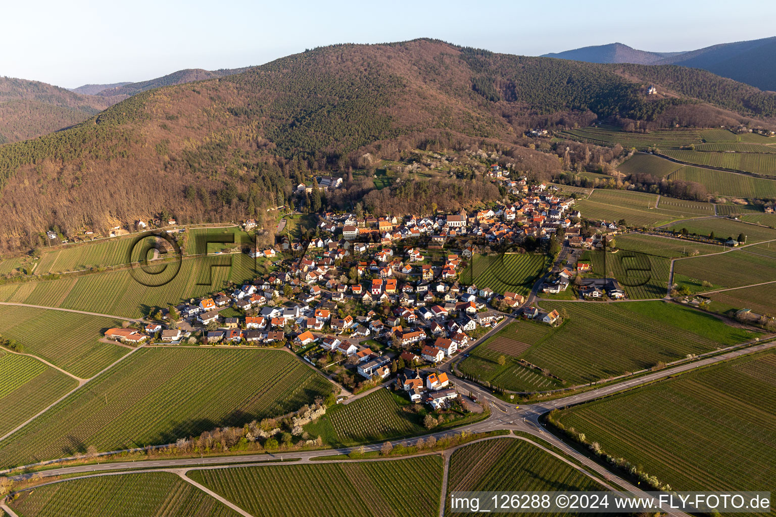 Vue aérienne de Centre du village en bordure des vignes et des domaines vignerons du terroir viticole à Gleisweiler dans le département Rhénanie-Palatinat, Allemagne