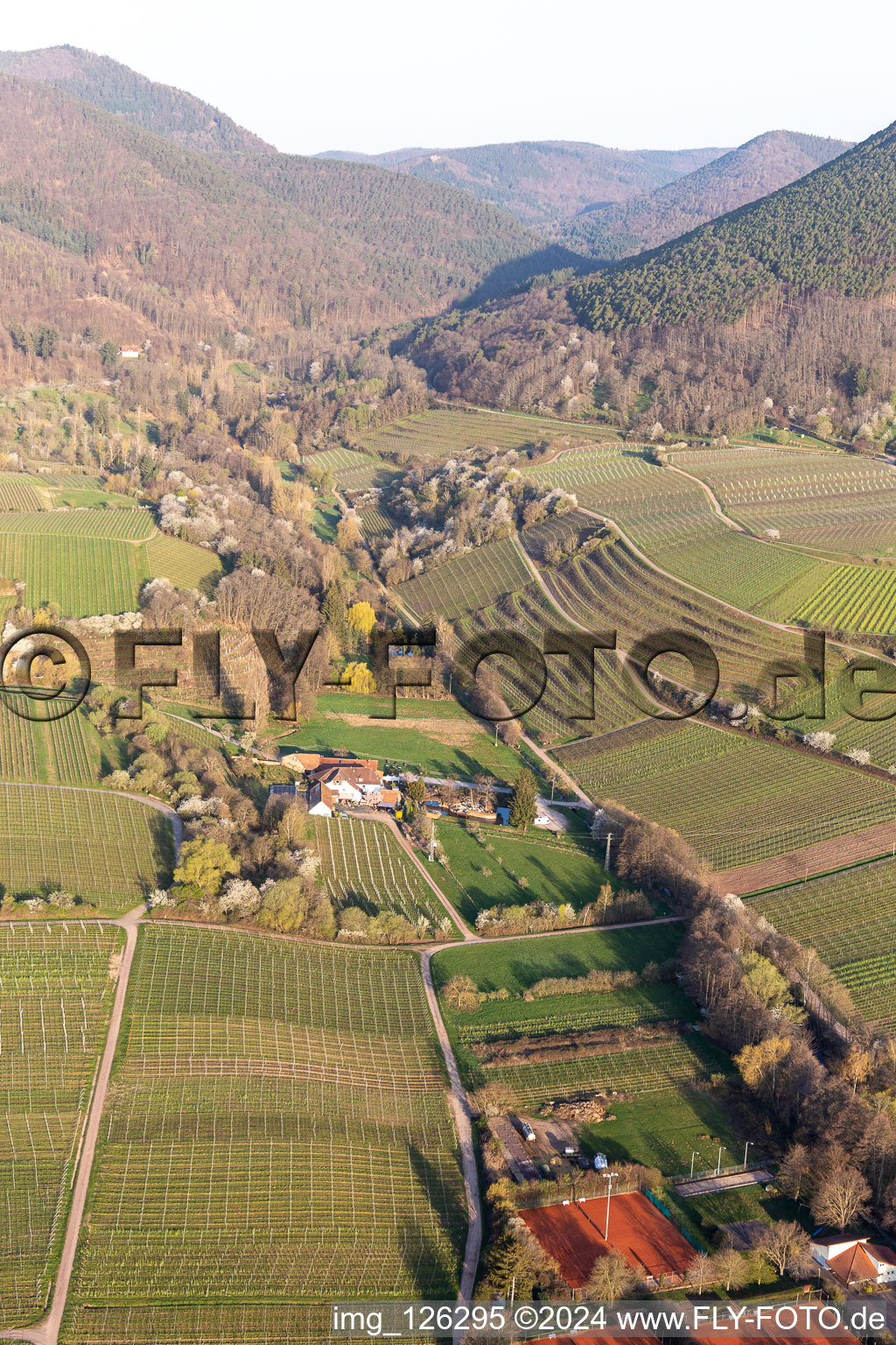 Vue aérienne de Vallée de Modenbach à Burrweiler dans le département Rhénanie-Palatinat, Allemagne