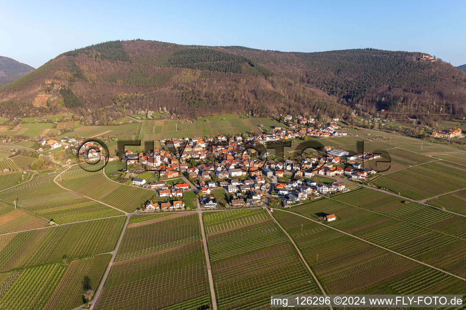 Vue aérienne de Centre du village en bordure des vignes et des domaines vignerons du terroir viticole à le quartier Weyher in Weyher in der Pfalz dans le département Rhénanie-Palatinat, Allemagne