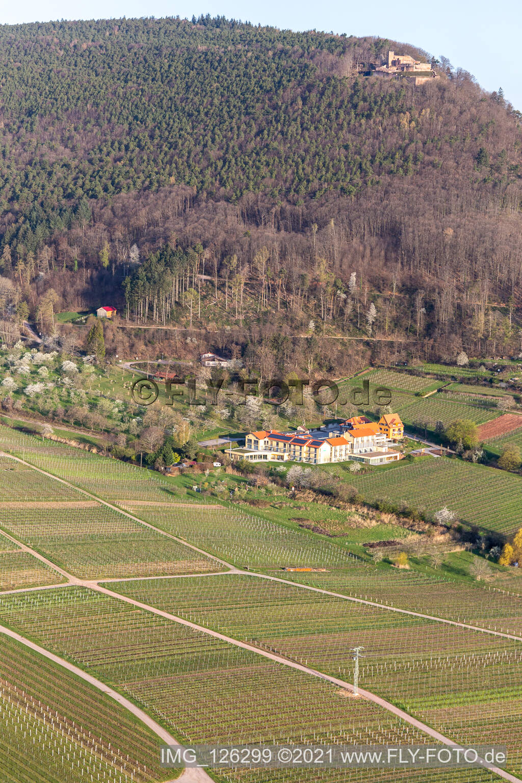 Vue aérienne de Hôtel de bien-être Alte Rebschule et Gasthaus Sesel au printemps à Rhodt unter Rietburg dans le département Rhénanie-Palatinat, Allemagne