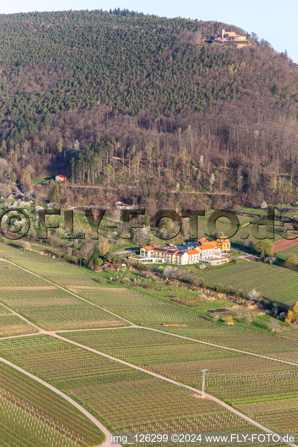 Vue aérienne de Hôtel de bien-être Alte Rebschule et Gasthaus Sesel au printemps à Rhodt unter Rietburg dans le département Rhénanie-Palatinat, Allemagne