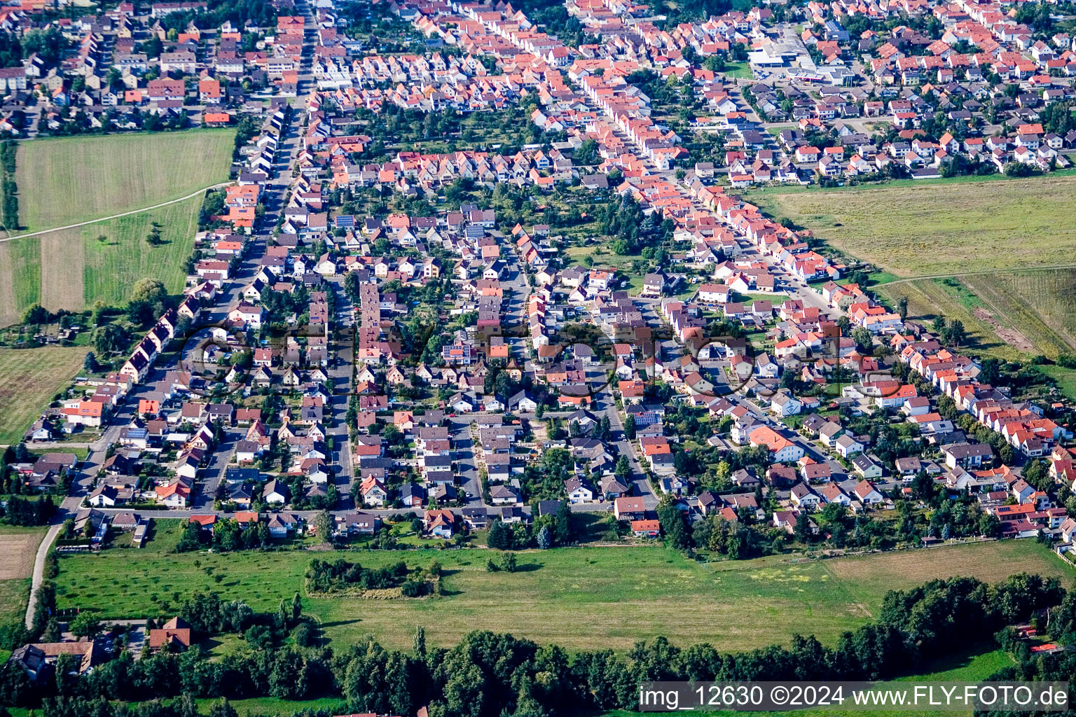 Vue aérienne de Vue des rues et des maisons des quartiers résidentiels à Haßloch dans le département Rhénanie-Palatinat, Allemagne