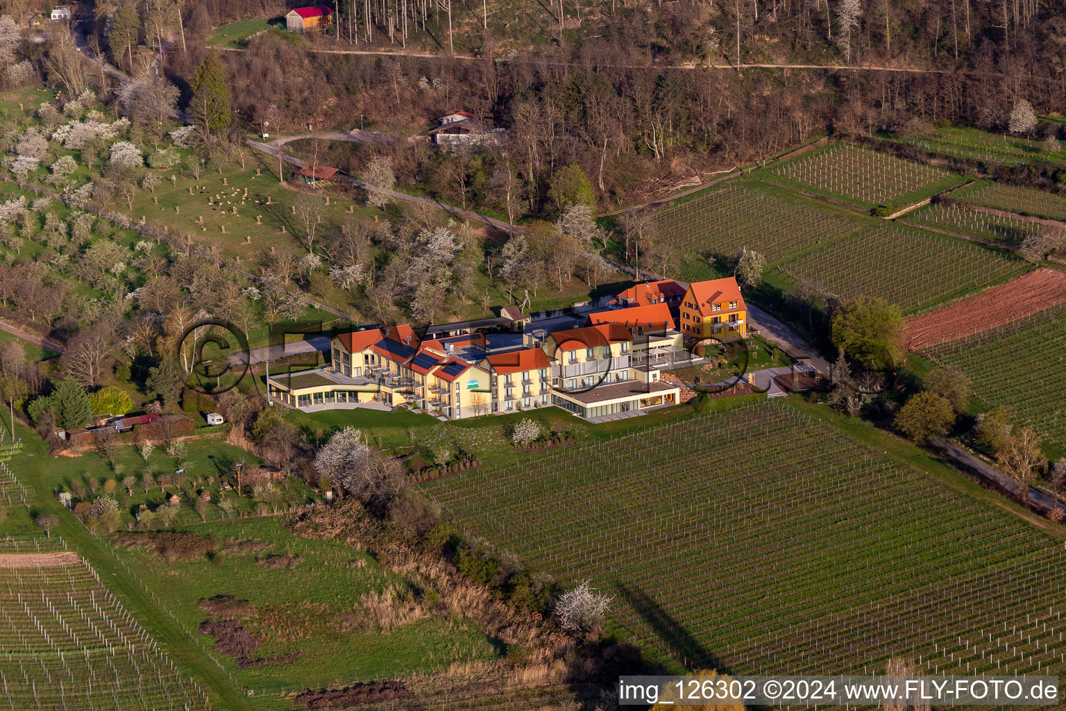 Vue aérienne de Hôtel de bien-être Alte Rebschule et Gasthaus Sesel au printemps à le quartier Rhodt in Rhodt unter Rietburg dans le département Rhénanie-Palatinat, Allemagne