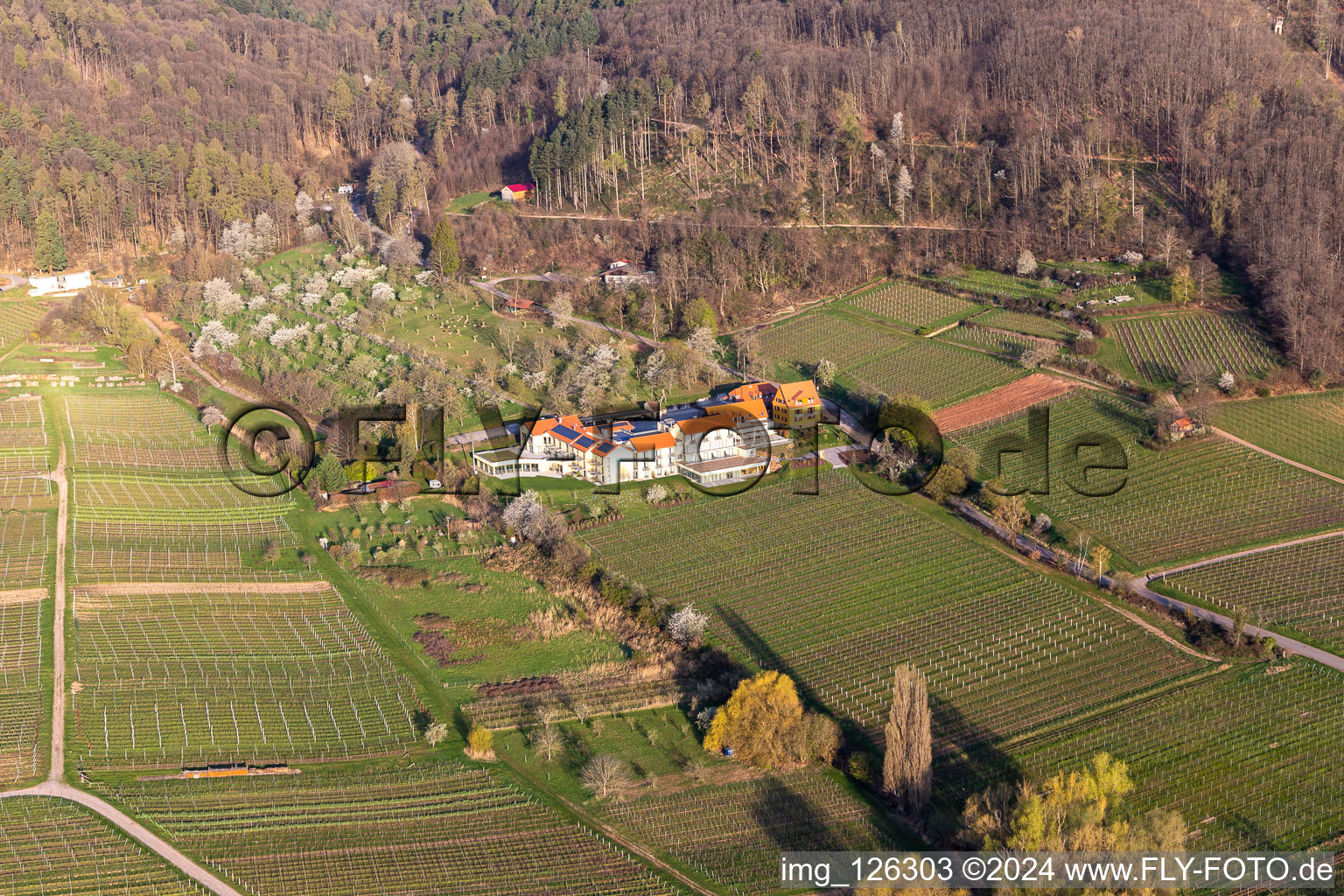 Photographie aérienne de Hôtel de bien-être Alte Rebschule et Gasthaus Sesel au printemps à le quartier Rhodt in Rhodt unter Rietburg dans le département Rhénanie-Palatinat, Allemagne