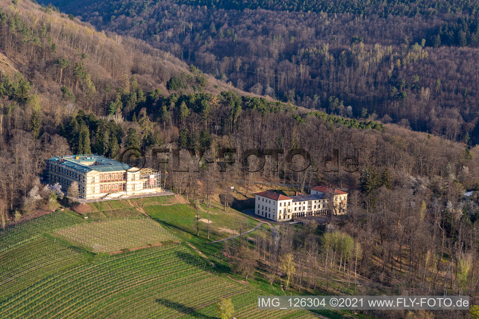 Vue oblique de Château de la Villa Ludwigshöhe à Edenkoben dans le département Rhénanie-Palatinat, Allemagne