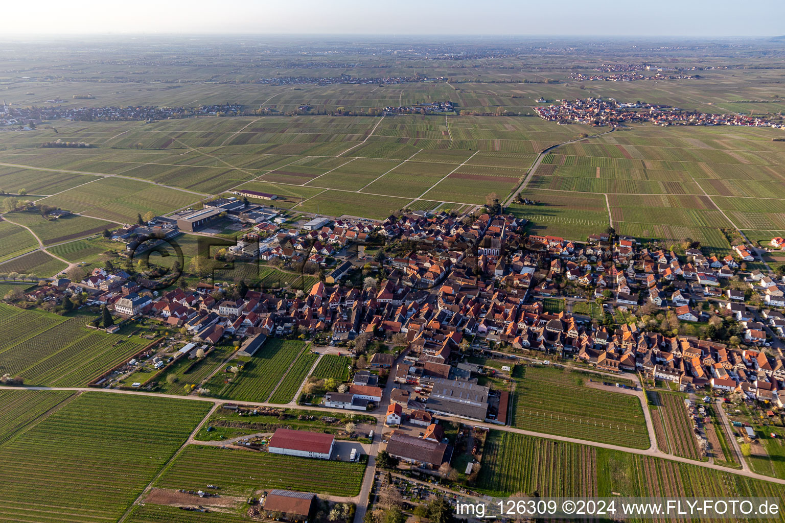 Quartier Rhodt in Rhodt unter Rietburg dans le département Rhénanie-Palatinat, Allemagne d'en haut