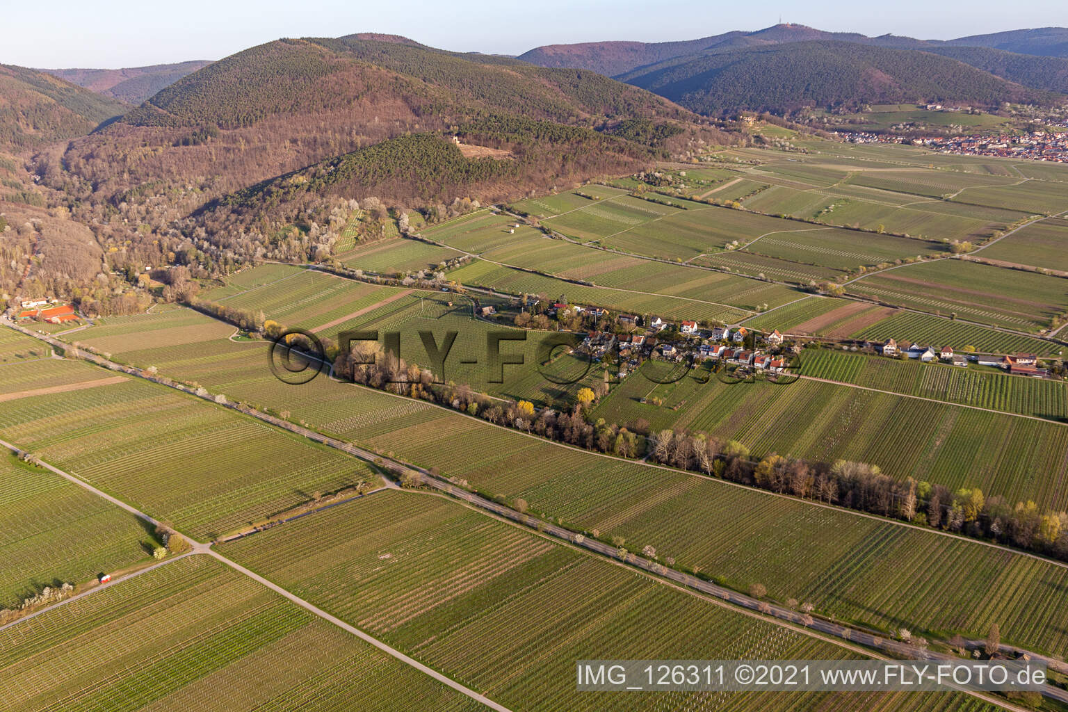 Rhodt unter Rietburg dans le département Rhénanie-Palatinat, Allemagne vu d'un drone