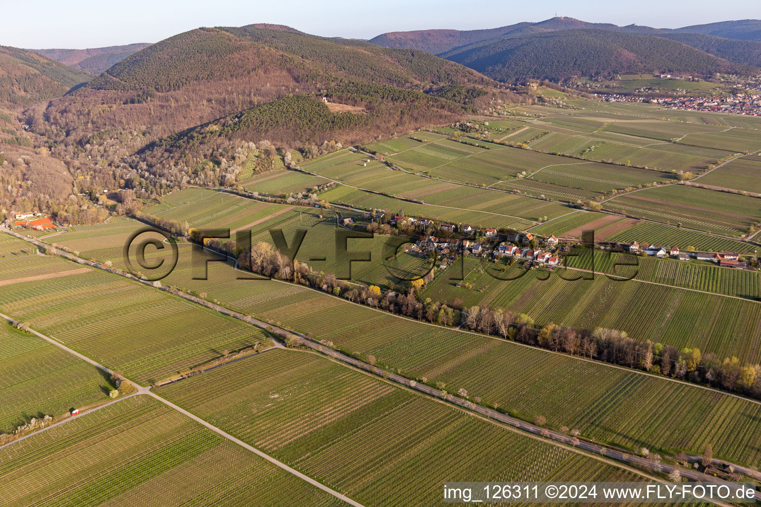 Rhodt unter Rietburg dans le département Rhénanie-Palatinat, Allemagne vu d'un drone