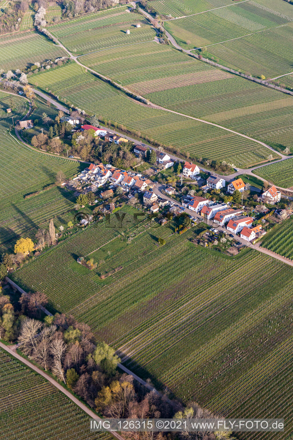 Vue aérienne de Règlement sur la Klosterstrasse à Edenkoben dans le département Rhénanie-Palatinat, Allemagne