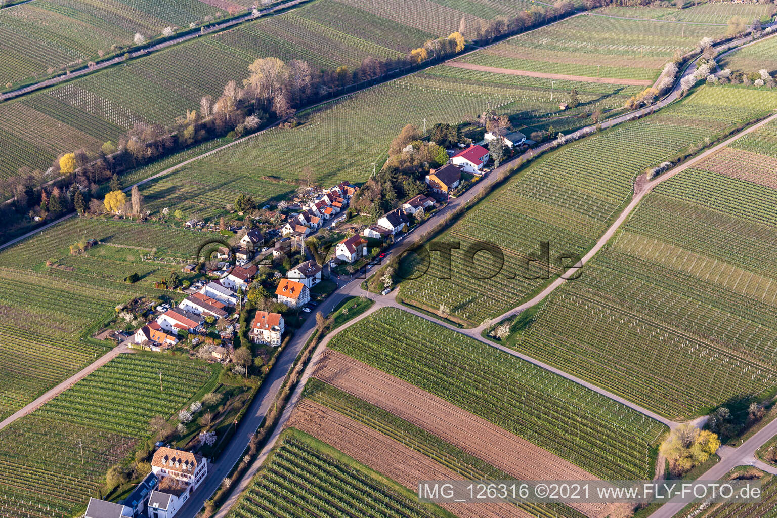 Vue aérienne de Règlement sur la Klosterstrasse à Edenkoben dans le département Rhénanie-Palatinat, Allemagne