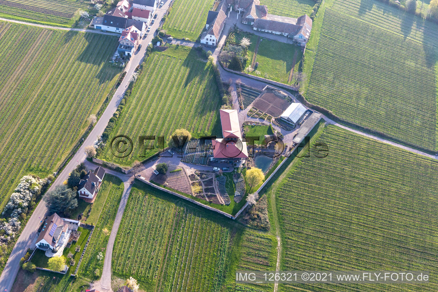 Vue aérienne de Edenkoben dans le département Rhénanie-Palatinat, Allemagne