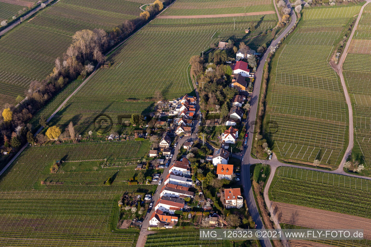 Photographie aérienne de Règlement sur la Klosterstrasse à Edenkoben dans le département Rhénanie-Palatinat, Allemagne