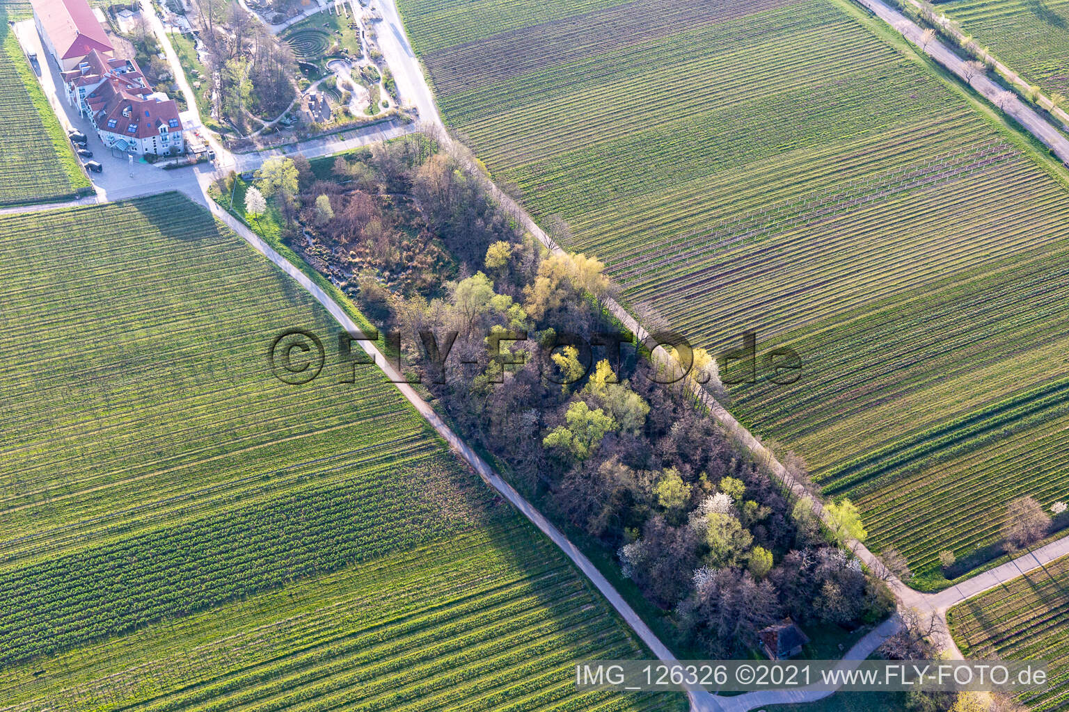 Vue aérienne de Vallée du Triefenbach à Edenkoben dans le département Rhénanie-Palatinat, Allemagne