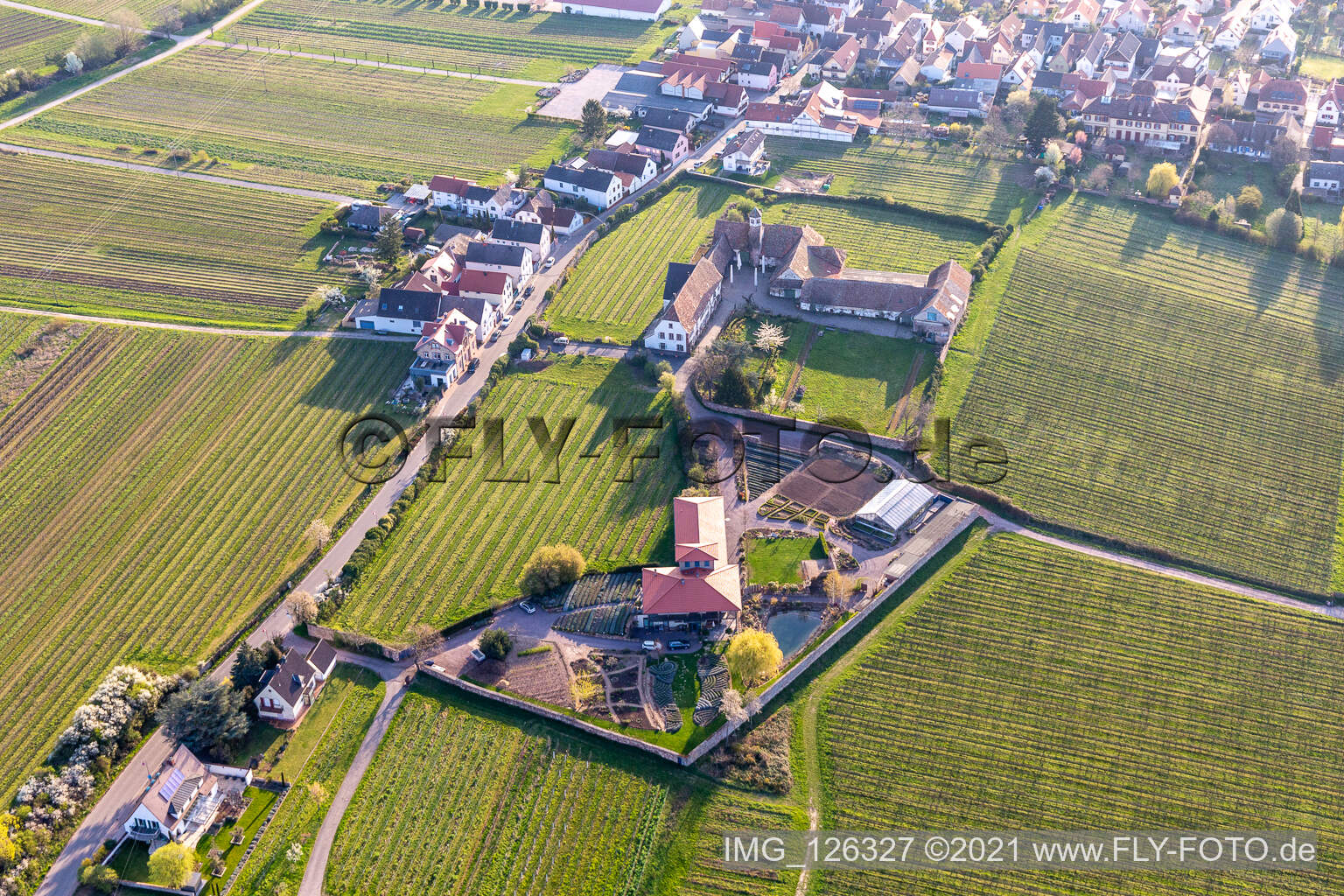 Photographie aérienne de Edenkoben dans le département Rhénanie-Palatinat, Allemagne