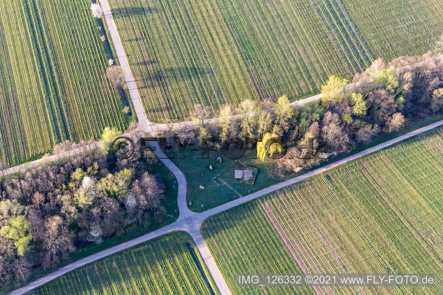 Vue aérienne de Aire de barbecue sur Woogweg à Edenkoben dans le département Rhénanie-Palatinat, Allemagne