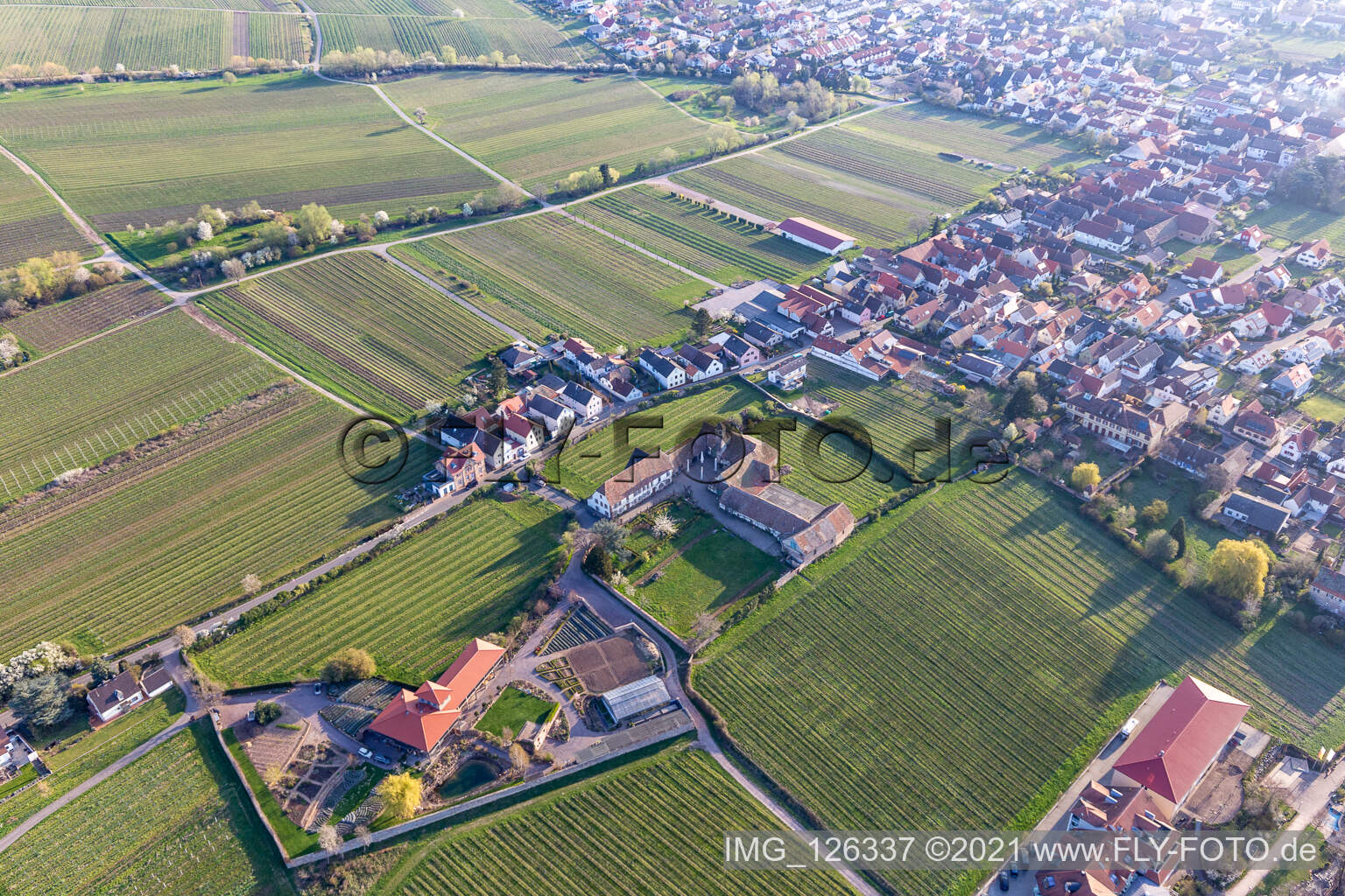 Vue oblique de Edenkoben dans le département Rhénanie-Palatinat, Allemagne