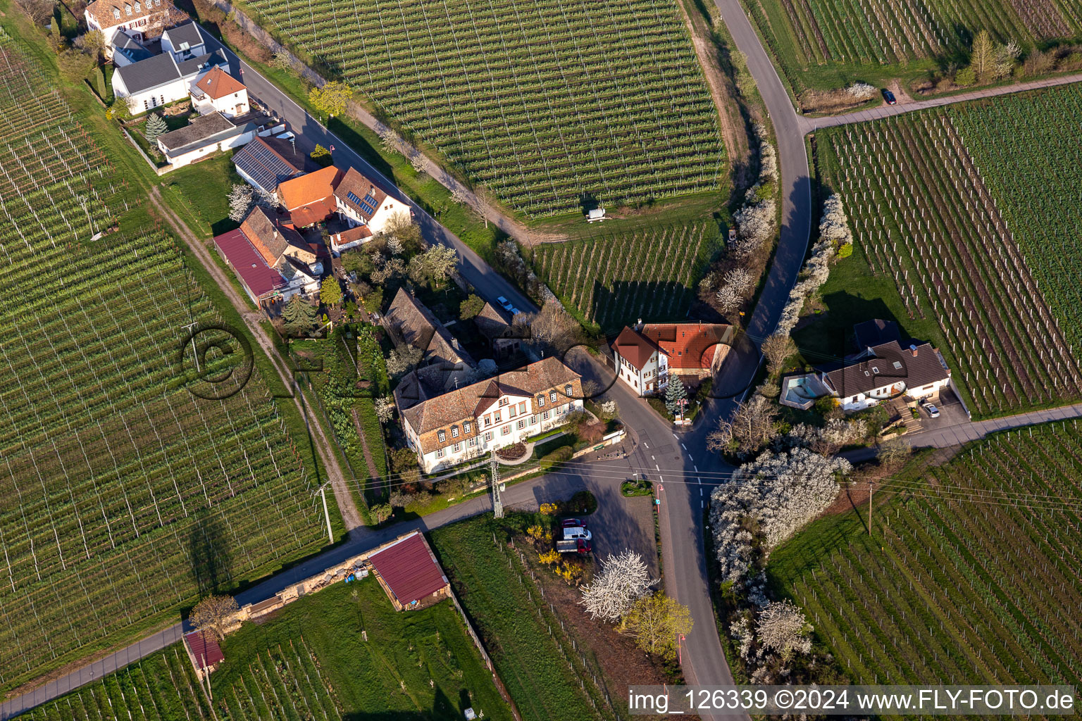 Vue aérienne de Manoir du manoir Meistersinger à Edenkoben dans le département Rhénanie-Palatinat, Allemagne