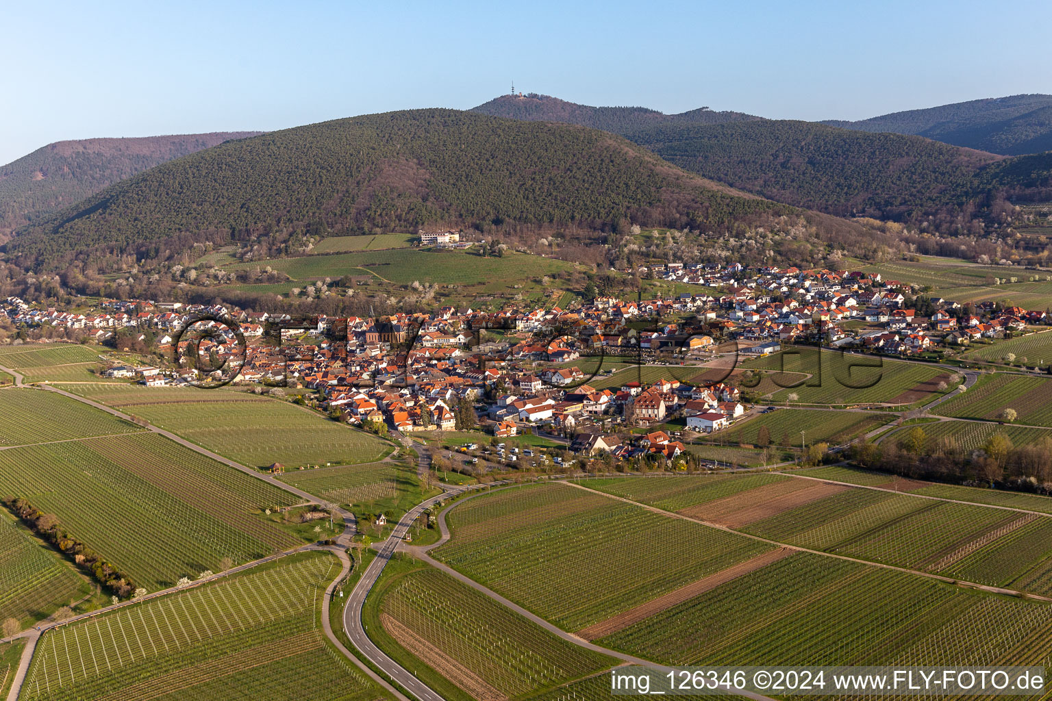 Vue aérienne de Village - vue à la lisière du Haardt de la forêt du Palatinat entre les vignes au printemps à le quartier SaintMartin in Sankt Martin dans le département Rhénanie-Palatinat, Allemagne