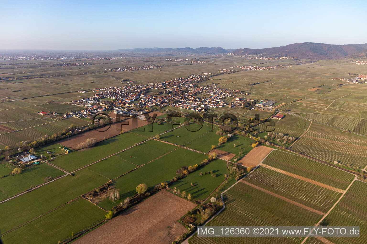 Vue d'oiseau de Edesheim dans le département Rhénanie-Palatinat, Allemagne