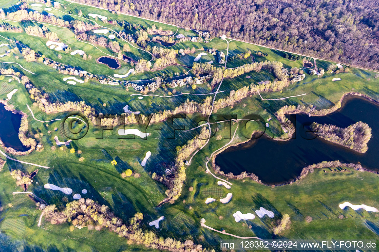 Vue aérienne de Arbres en fleurs au printemps sur le terrain de golf Landgut Dreihof - GOLF absolu à le quartier Dreihof in Essingen dans le département Rhénanie-Palatinat, Allemagne