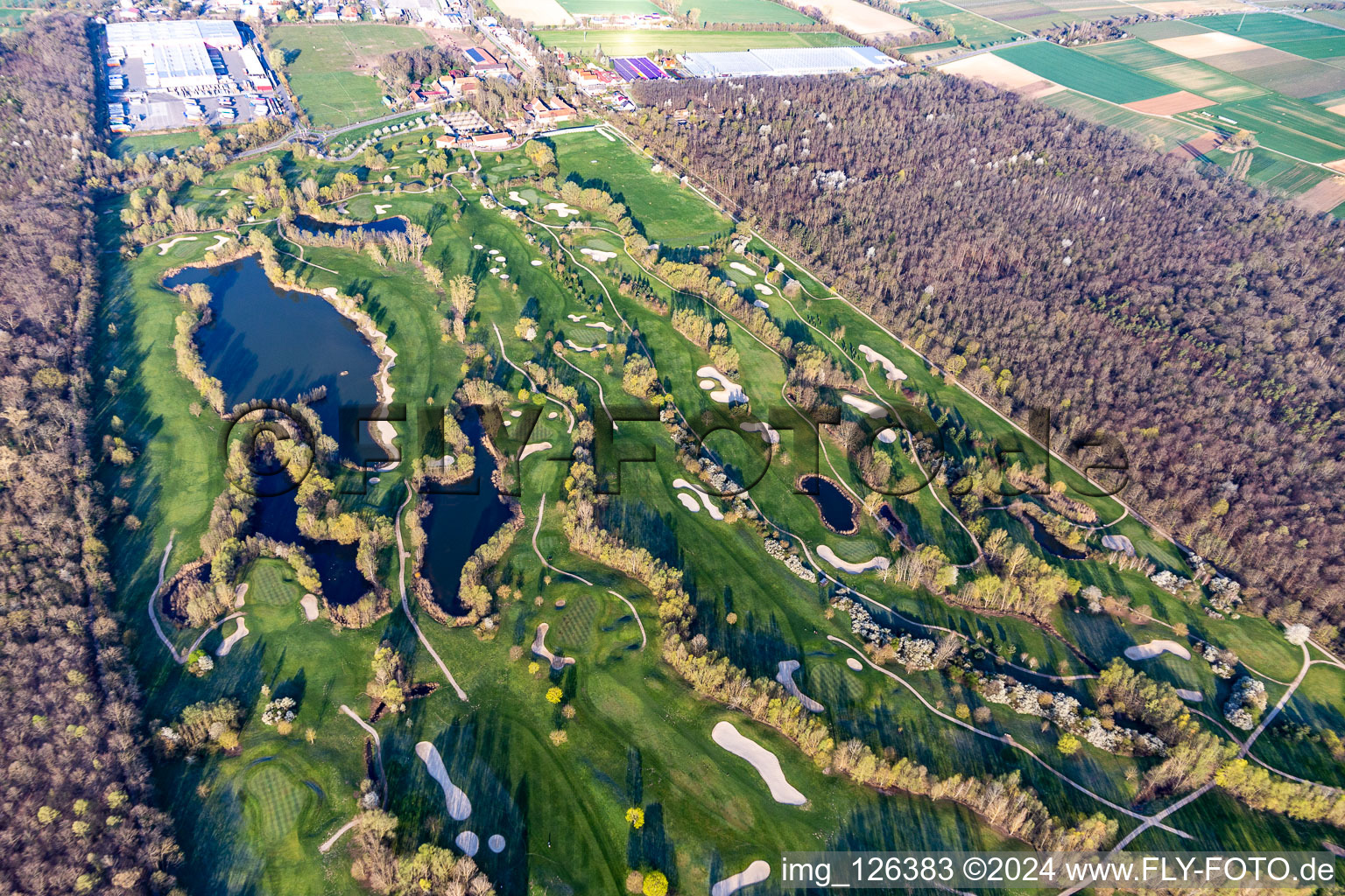 Photographie aérienne de Arbres en fleurs au printemps sur le terrain de golf Landgut Dreihof - GOLF absolu à le quartier Dreihof in Essingen dans le département Rhénanie-Palatinat, Allemagne